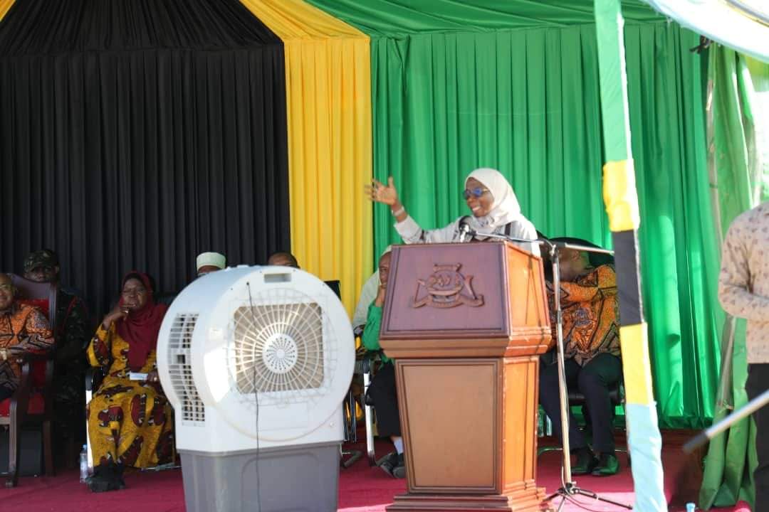 President Hussein Ali Mwinyi