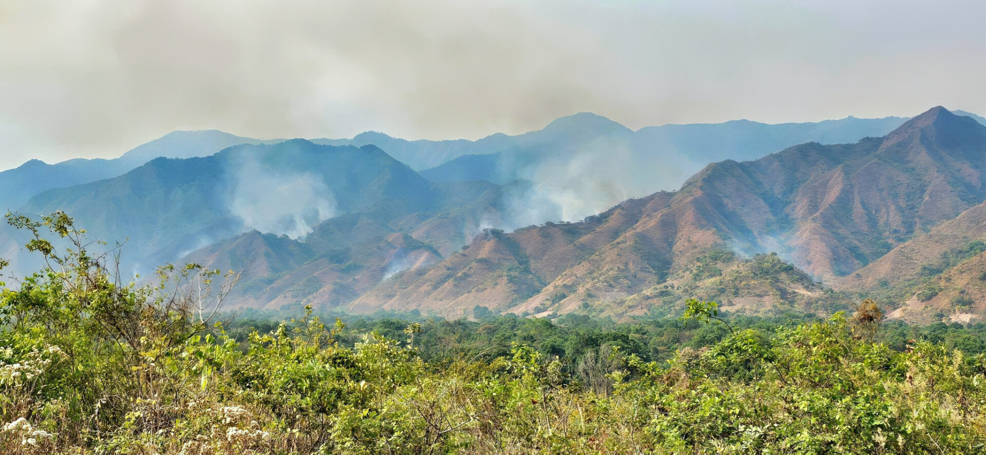 Livingstone Mountains