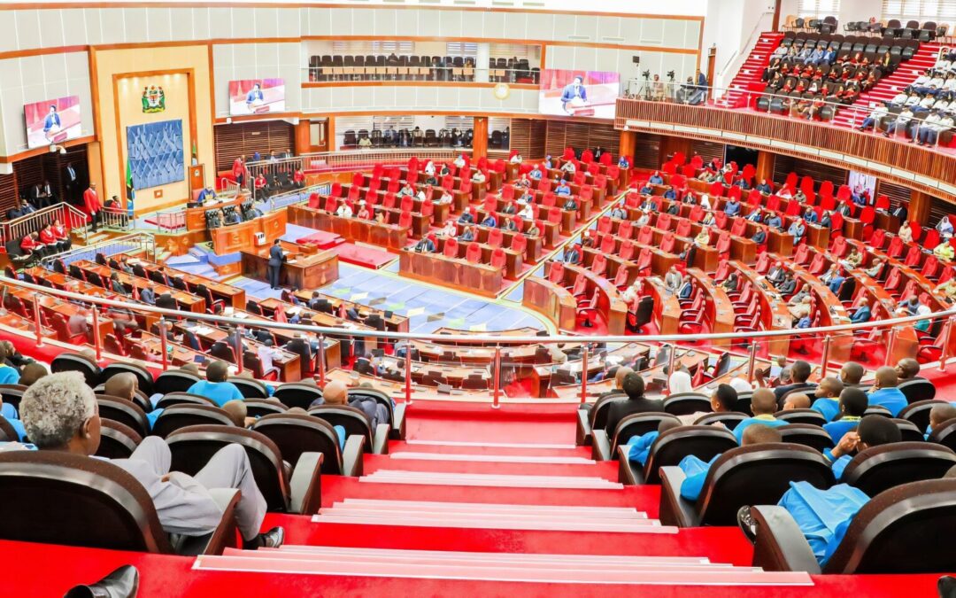 Tanzania Parliamentary