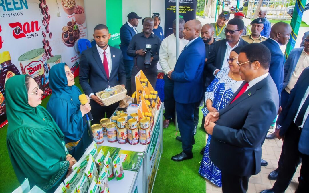 Modernising Tanzanian Beekeeping: From Log Hives to Langstroth Success