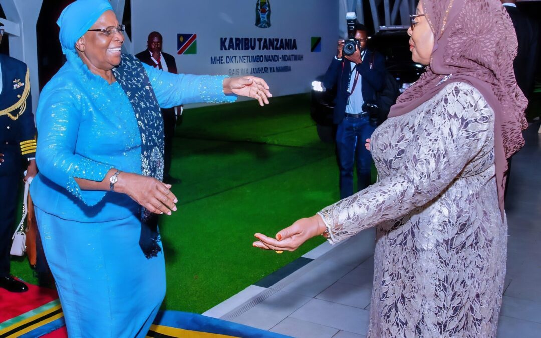 From Liberation to Economic Partnership: The Legacy of Tanzania and Namibia Relations