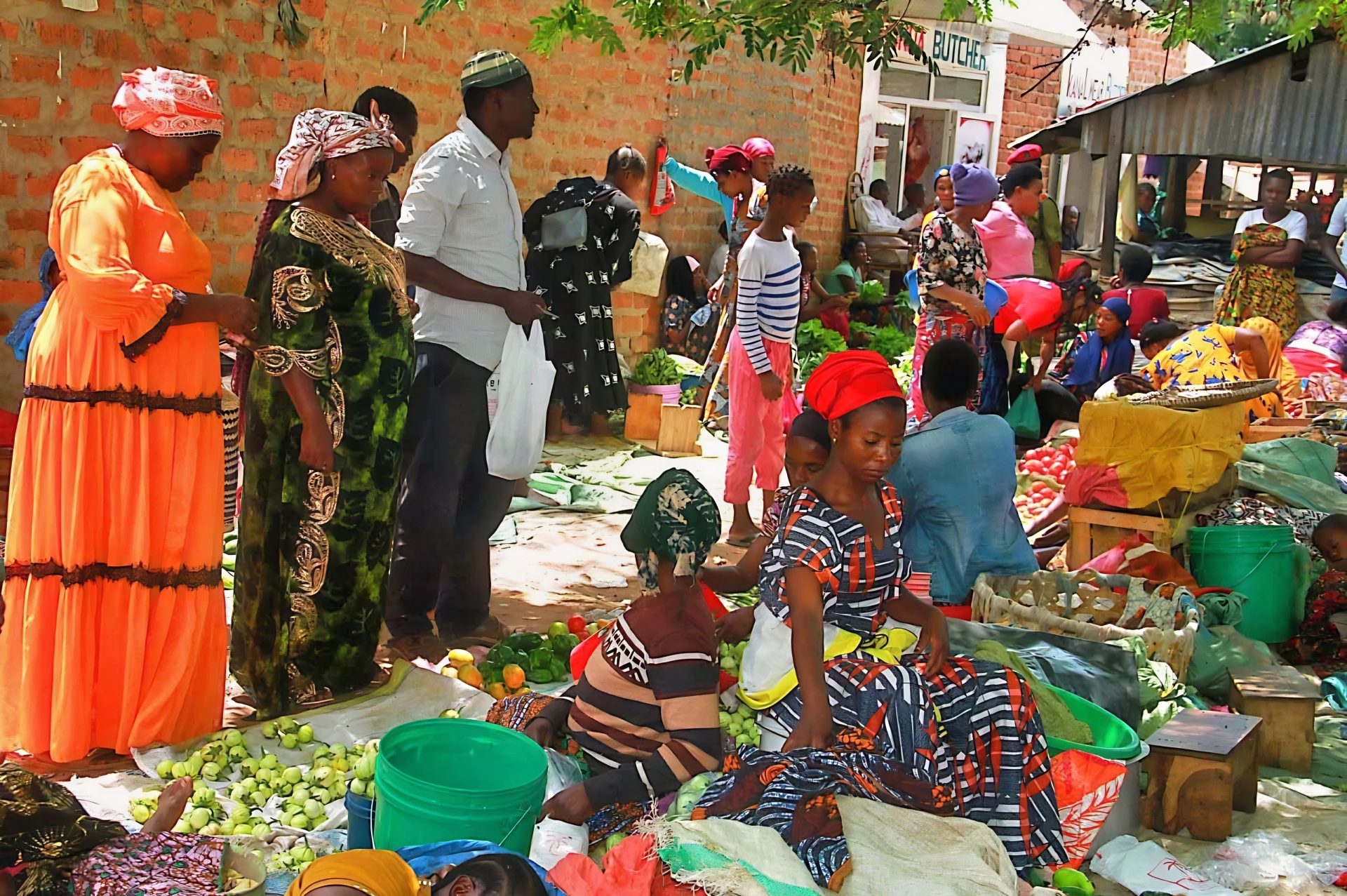 Peace and Justice in Tanzania